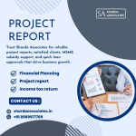 projectreport's Avatar